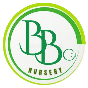 Black_and_White_Minimalist_Professional_Initial_Logo-removebg-preview (3)