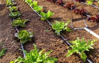 Drip Irrigation Systom