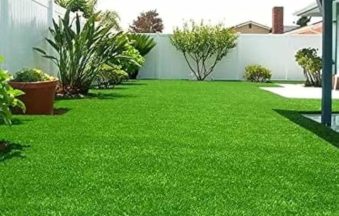 Korean Grass Garden (1)